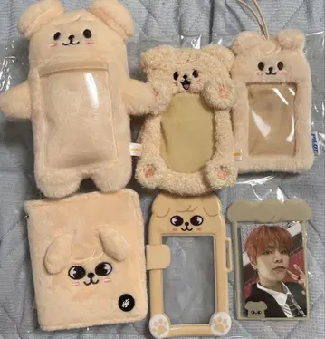 퍼핌 트레이딩 카드 케이스 모음 승민