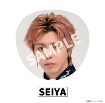 BUDDiiS SEIYA 부채