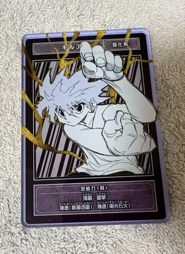 HUNTER x HUNTER 헌터헌터 스탯 카드 키루아