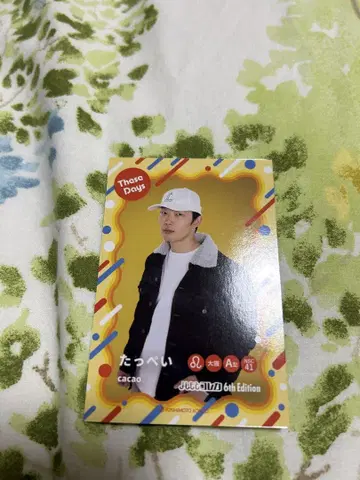 탓페이 요시모토 코레카 6th Edition