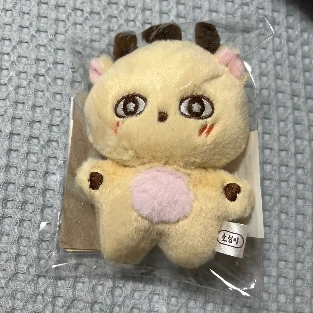 류충현 편각 영지버섯 선물세트400g