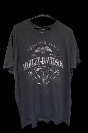 XL 사이즈 Harley-Davidson 셔츠