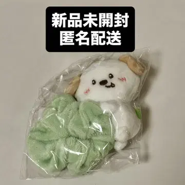 RIIZE 앤톤 스크런치