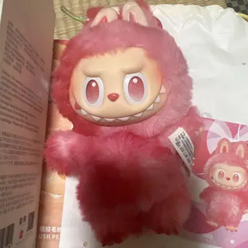 [정품] Labubu Big into Energy 1상자 라부부 정품