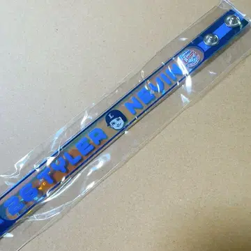 사이타마 세이부 라이온즈 오로라 블레스 네빈