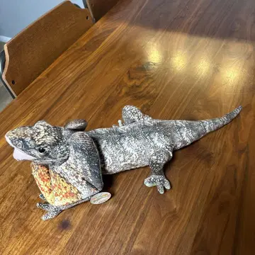 리얼 도마뱀 봉제 인형 약 50cm