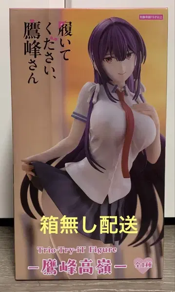 [ 상자 없음 배송 ] 타카미네 타카네 피규어