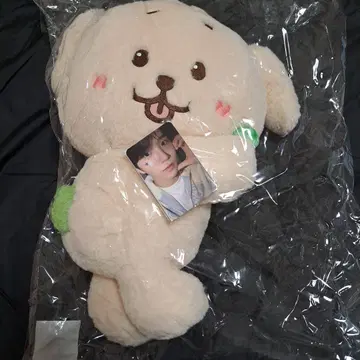 M*님 NCTWISH 재희 캐릭터 백