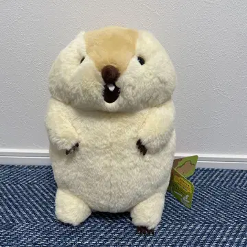 마모트의 모토토모아 시끄러운 모토토