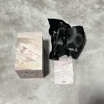 SKULLPANDA 스컬팬더 The Paradox The Bond