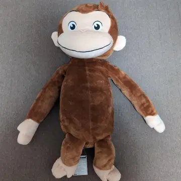 조지 BIG