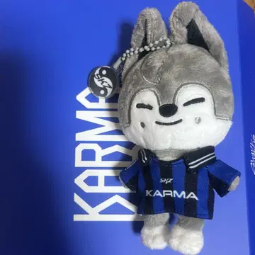 straykids 스키즈 karma 방찬 울프찬 skzoo