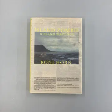 Roni Horn Island Zombie