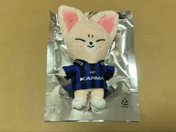 KARMA SKZOO 폭시니