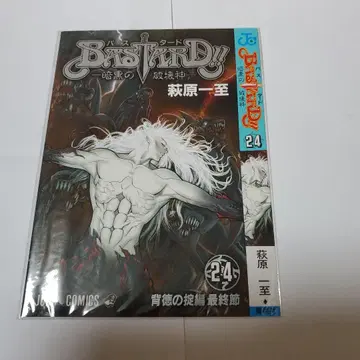 BASTARD!! -암흑의 파괴신- 24권 한정판 북커버