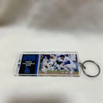 오타니 쇼헤이 키링 데코핀