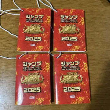점프 빅토리 여권 2025 점프 빅토리 카니발 4