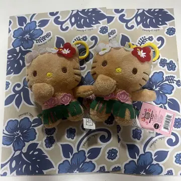 하와이 일광화상 키티