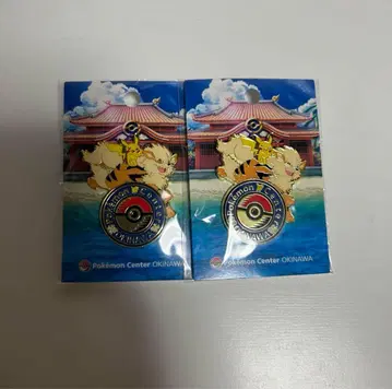 오키나와 한정 포켓몬 로고핀즈 2개