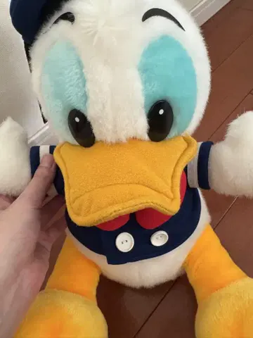 도널드 덕