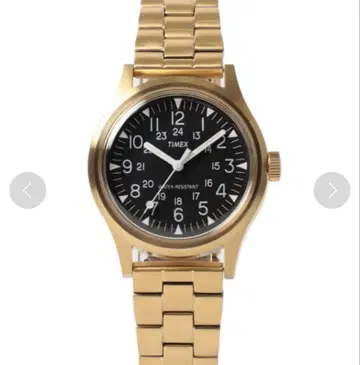 timex beams camper 별주