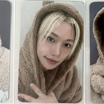 straykids  필릭스 karma 혜택 트레이딩 카드
