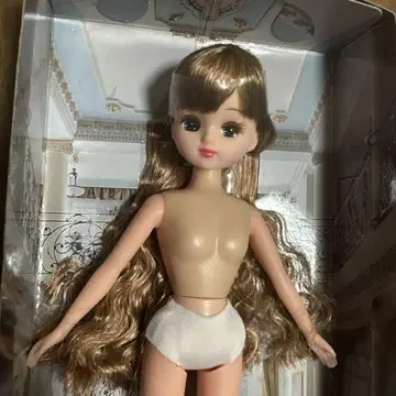 새상품 리카짱 믹스 헤어 옷 갈아입히기 인형 어른스러운 리카짱