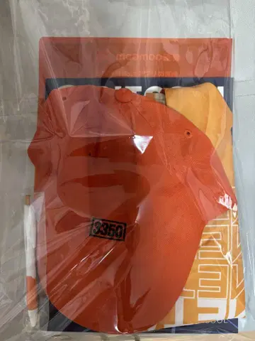 메타플래닛 총회