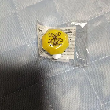 아리스가와 다이토 반지 라이트