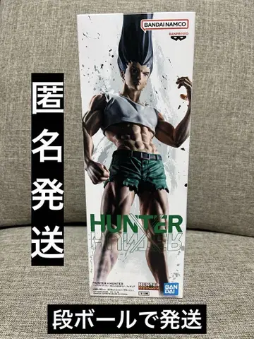 익명 배송 피그라이프 HUNTER x HUNTER 곤 프리크스 피규어
