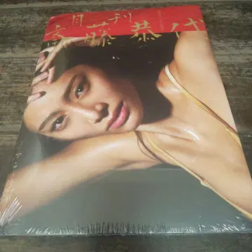 월간 사이토 야스요