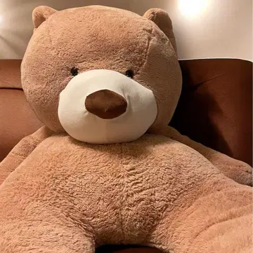 코스트코 곰 봉제 인형 COSTCO big bear 236cm