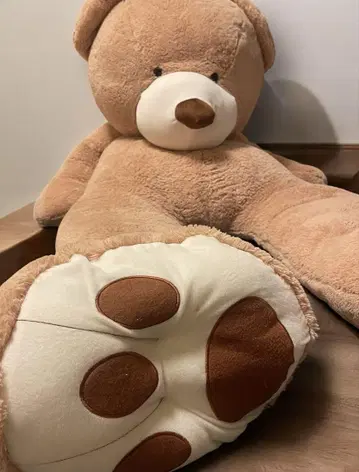 코스트코 곰 봉제 인형 COSTCO big bear 236cm