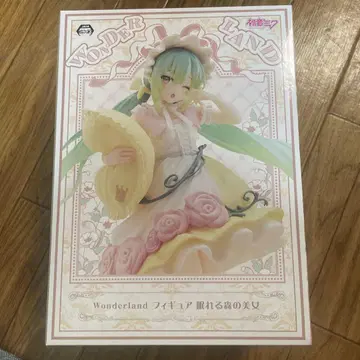 하츠네 미쿠 Wonderland 피규어 잠자는 숲속의 미녀