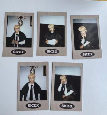 StrayKids 트레이딩 카드 5장 세트 FELIX