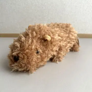 [ 1주 한정 판매 종료 ] 카피바라 봉제 인형 샤보텐 공원