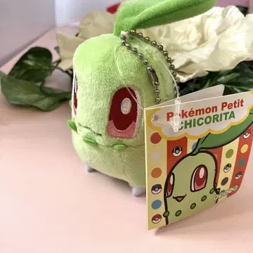 [ 레어 ] 치코리타 Pokemon petit 봉제 인형 포켓몬 센터