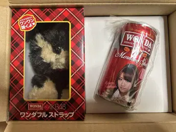 Wonda AKB48 원더풀 룰렛 당선품 타카하시 미나미