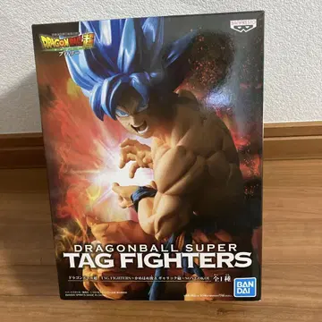 드래곤볼 초 TAG FIGHTERS ~에네르기파 & 갈릭포~