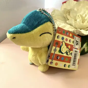 2013 히노아라시 포켓몬 센터 봉제 인형 pokemon petit