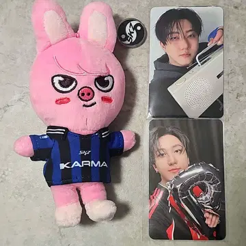 StrayKids 스키즈 창빈 KARMA SKZOO 트레이딩 카드