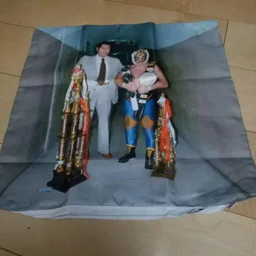 초대 타이거 마스크와 안토니오 이노키, 쿠션, 프로레슬링