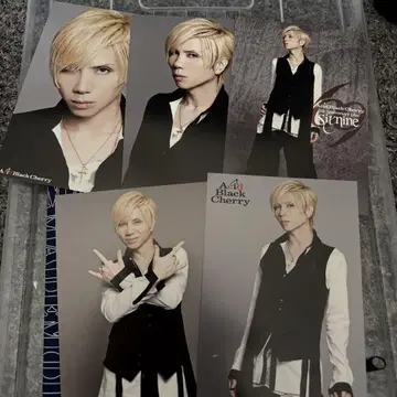 Acid Black Cherry 엽서 691
