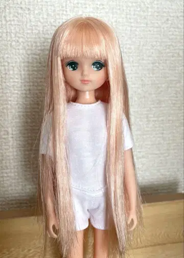 리카짱 리카짱 프렌드 키라짱 리카짱 캐슬