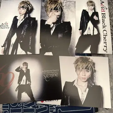 Acid Black Cherry 엽서 692