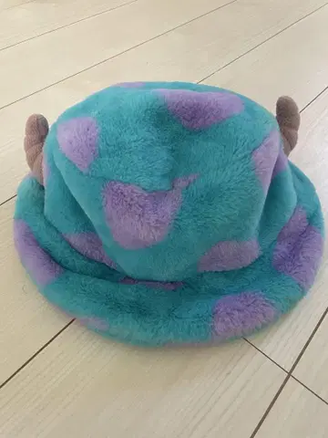 샐리 팬캡