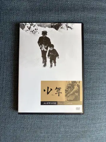 [ 단종 ] 소년 윤보기의 봄 DVD