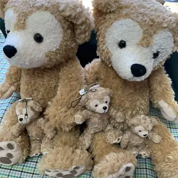 곰 봉제 인형 대소 세트