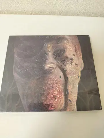 [ 미개봉 ] Four Stages of Decomposition CD