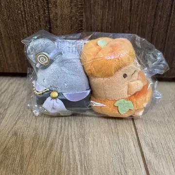 할로윈 타피오카 오렌지 그레이 스미코구라시